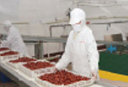 工廠調(diào)查 1/2