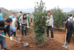 公益財團法人永旺環境財團開展的植樹活動